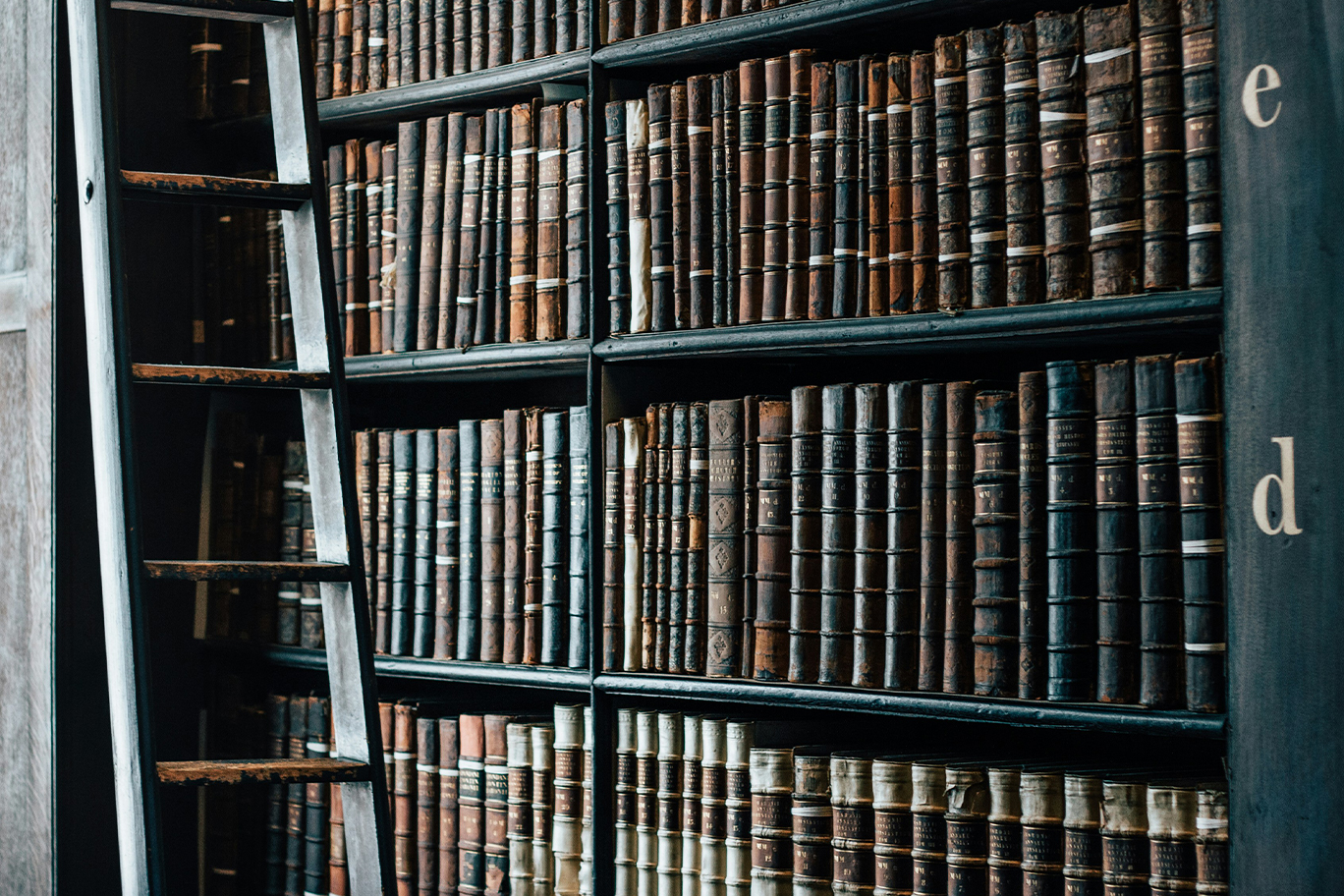 An Introduction to Legal Language